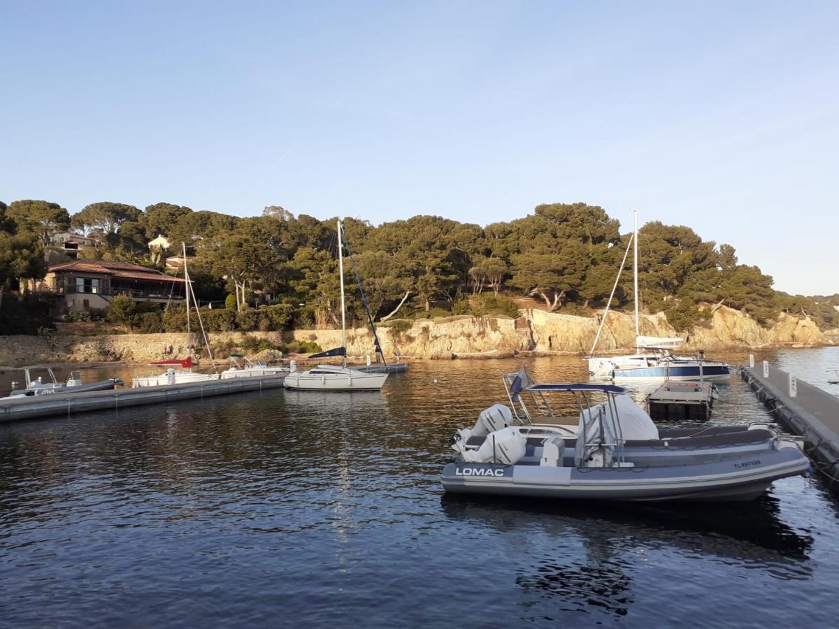 Villa Vue Mer Presqu'Ile De Giens Avec Piscine Hyères Eksteriør billede
